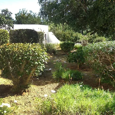 Holiday Home Doroteia By Interhome Carvoeiro (Lagoa)